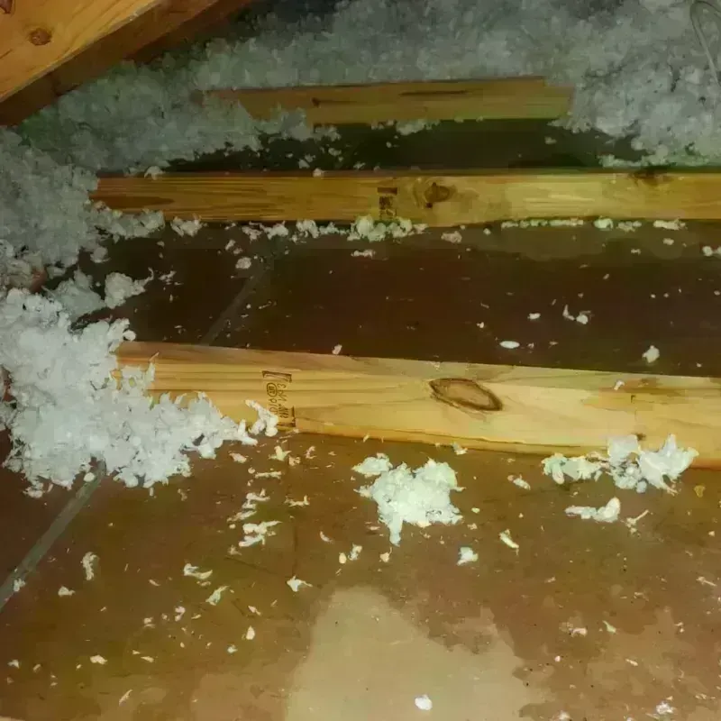 Attic Water Damage in Osceola County, FL